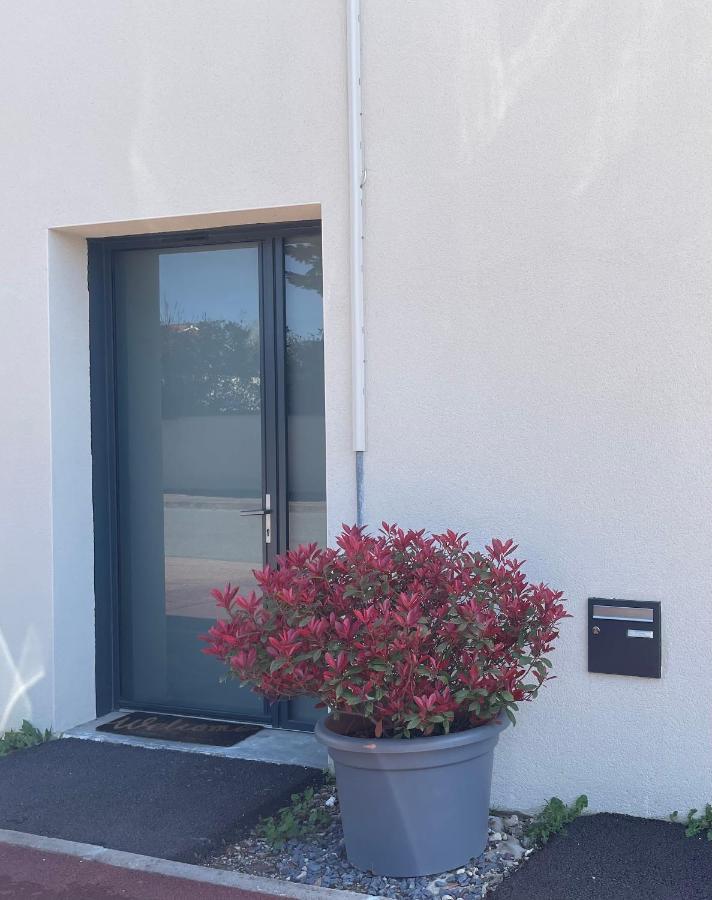 Studio Cosy Tt Confort Proche Aeroport Colombier-Saugnieu Kültér fotó