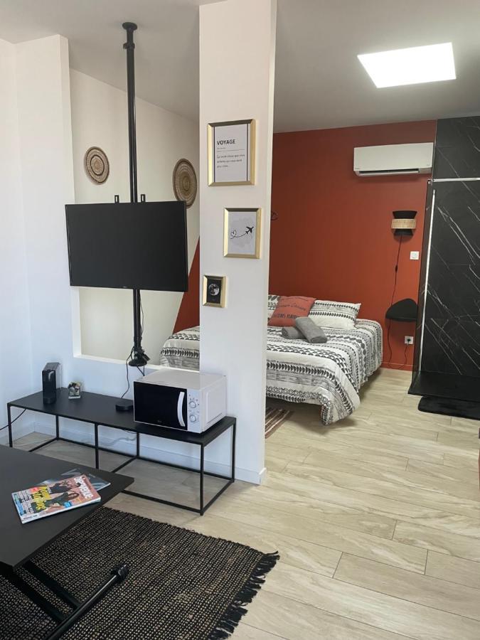 Studio Cosy Tt Confort Proche Aeroport Colombier-Saugnieu Kültér fotó